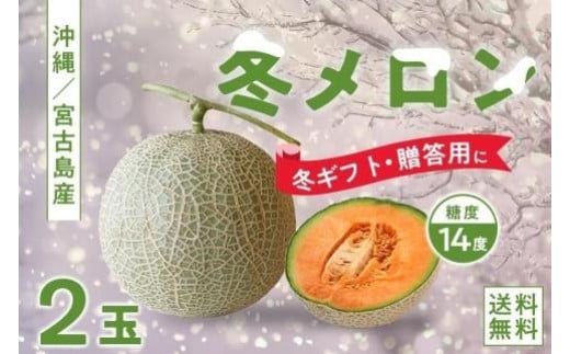 ★品切れ★【琉球マルシェ】毎年大好評！沖縄県宮古島産　冬メロン　２玉（中玉）計2.4kg以上　贈答用　冬のギフト