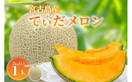 【8farm】宮古島産てぃだメロン1玉（2kg以上）《2025年12月～1月発送》（JC005）
