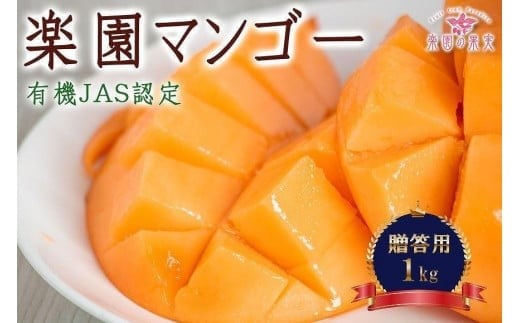 DQ014《先行予約》2026年発送 有機JAS認証マンゴー（アーウィン）贈答用 1kg【楽園の果実】