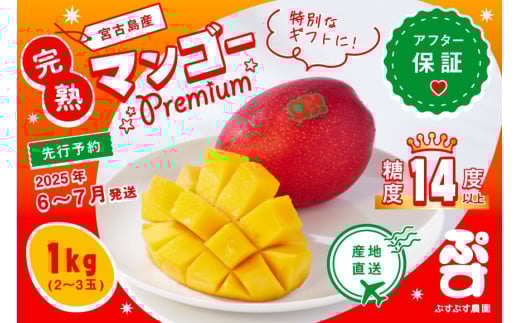 [ぷすぷす農園]宮古島産完熟マンゴープレミアムお中元セット(贈答用/1キロ×10セット/農園直送)
