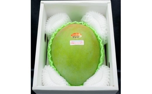 《先行予約 2026年発送》 『天使のマンゴー』宮古島産キーツマンゴー 約800g（1玉）ご贈答用「LA MANGUE BLEUE」農家直送（GZ005）