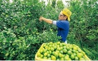 産業の振興に関する事業