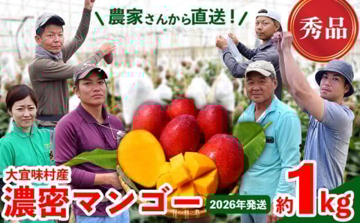 【2026年発送】濃密マンゴー《秀品・約1kg》大宜味村農家さんから直送 秀品 先行予約 沖縄 甘味 糖度 濃厚 おいしい お土産 まんごー アーウィン 果物 くだもの 果実 送料無料 ふるさと納税 1キロ トロピカル 箱入り 食べ物 フルーツ