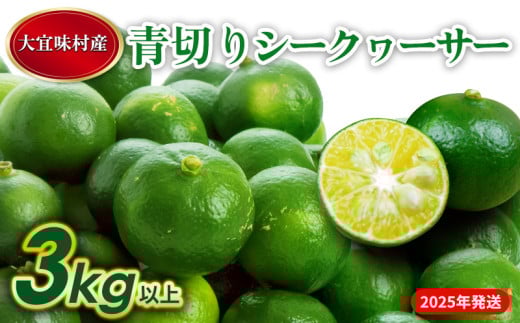 【2025年発送】大宜味村　青切りシークワーサー 3kg 沖縄 おきなわ 大宜味村 果物 くだもの 果実 シークワーサー しーくわーさー 青切り 沖縄県産 産地直送 お取り寄せ 人気 食品 送料無料 国産 県産 ご当地 やんばる ノビレチン