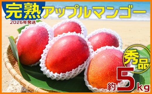 【2026年発送】大ボリューム完熟アップルマンゴー秀品・約5kg農園から直送! 秀品 先行予約 沖縄 甘味 糖度 濃厚 美味しい お土産 おいしい ギフト とろける甘さ 香り アーウィン 果汁 高級 箱入り 化粧箱入り 見た目 きれい 綺麗