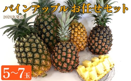 東村産パインアップルお任せセット2（5～7玉）【2026年発送】 パイン パインアップル パイナップル ボゴール ゴールドバレル ピーチパイン サンドルチェ ホワイトココ セット おまかせ 生産量日本一 国産 国産パイン ジューシー 南国 トロピカル 予約 先行予約 沖縄 東村