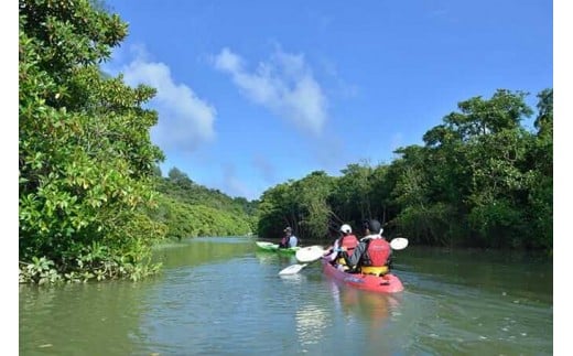 【沖縄本島最大級】マングローブ林カヌーツアー体験（2名様）