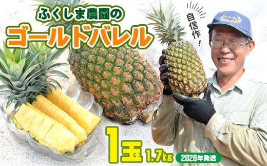 ゴールドバレル【パインアップル】(1玉）約1.7kg　ふくしま農園の自信作！◆2026年発送◆ ゴールドバレル パイナップル 高品質 新鮮 ジューシー 希少 高い糖度 大玉 甘い トロピカル パイン 生産量日本一 高級フルーツ 南国フルーツ 国産フルーツ 完熟 福島 農家直送 沖縄 東村