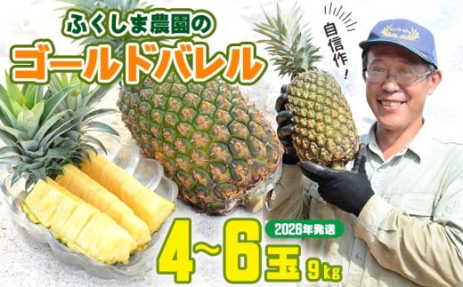 ゴールドバレル【パインアップル】(4～6玉）約9kg　ふくしま農園の自信作！◆2026年発送◆ ゴールドバレル パイナップル 高品質 新鮮 ジューシー 希少 高い糖度 大玉 甘い トロピカル パイン 生産量日本一 高級フルーツ 南国フルーツ 国産フルーツ 完熟 福島 農家直送 沖縄 東村