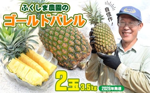 ゴールドバレル【パインアップル】(2玉）約3.5kg　ふくしま農園の自信作！◆2026年発送◆ ゴールドバレル パイナップル 高品質 新鮮 ジューシー 希少 高い糖度 大玉 甘い トロピカル パイン 生産量日本一 高級フルーツ 南国フルーツ 国産フルーツ 完熟 福島 農家直送 沖縄 東村