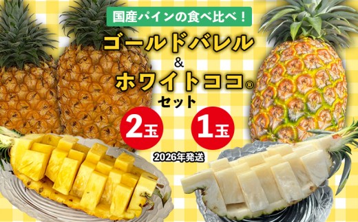国産パインの食べ比べ！ゴールドバレル（2玉）&ホワイトココ（1玉）セット【2026年発送】 パイン パインアップル パイナップル ゴールドバレル ホワイトココ 数量限定 食べ比べ お試し ジューシー 希少 生産量日本一 国産 国産パイン おいしい 南国 トロピカル 予約 先行予約 沖縄 東村