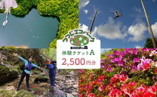 つつじエコパーク　体験チケットA【2500円分】 やんばる ヤンバル 本島北部 体験 アクティビティ 自然 家族 ファミリー 友達 仲間 カヌー ダム ダム湖 子ども 子供 遊具 公園 探検 沖縄 東村