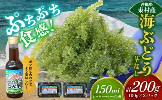 美ら海 沖縄県産 海ぶどうセット/茎なし200g(100g×2パック)ポン酢付 海ブドウ 海ぶどう うみぶどう パック 茎なし クビレズタ たれ付き 海鮮 海藻 プチプチ おつまみ 沖縄料理 ご当地 特産品 グルメ 人気 居酒屋 常温 沖縄県 東村