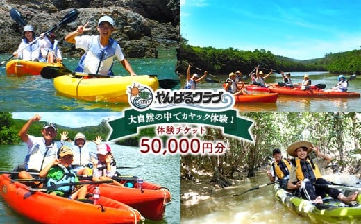 大自然の中でカヤック体験！やんばるクラブ　体験チケット（50000円分） カヤック 体験 慶佐次川 大自然 探検 冒険 マングローブ やんばるの森 生き物 植物 亜熱帯 ガイド付き ガイドツアー 小学生 3歳 自然観察 ヤンバル やんばる 沖縄 東村