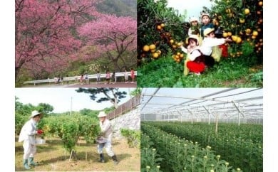 2．産業の振興及び魅力ある観光地づくりに関する事業