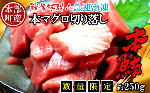 【数量限定】　本部町産　本マグロ切り落し　約250ｇ 鮪 本マグロ 送料無料 ギフト グルメ お祝い 贈答品 プレゼント 土産 お取り寄せ 柵 刺身 さしみ 海鮮 海産物 美ら海 本部町 250ｇ 切り落とし