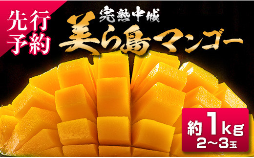 【2025年夏季出荷 先行受付開始！】 完熟中城美ら島マンゴー（優品） 約1kg　沖縄 特産品 完熟マンゴー フルーツ 果物 デザート スイーツ ジュース スムージー アイス シャーベット ソルベ 贈答 贈り物 プレゼント お土産 お見舞い お中元 ギフト 数量限定
