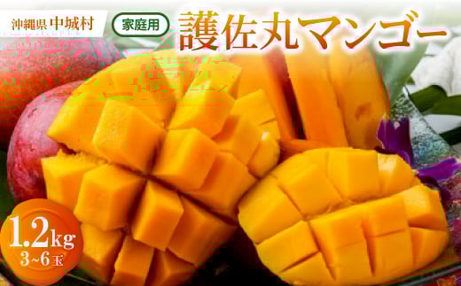 ＜2026年6月下旬から順次発送・訳あり＞護佐丸マンゴー1.2kg(3～6玉)【1676053】