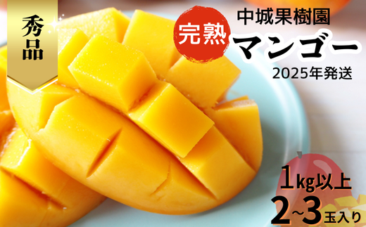 [2025年発送 先行受付]中城果樹園の完熟マンゴー≪秀品≫ 1kg以上 アーウィン種 沖縄 特産品 完熟マンゴー フルーツ 果物 デザート スイーツ ジュース スムージー アイス シャーベット ソルベ 贈答 贈り物 プレゼント お土産 お見舞い お中元 ギフト 数量限定