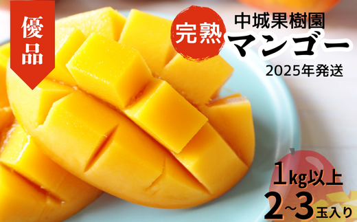 [2025年発送 先行受付]中城果樹園の完熟マンゴー≪優品≫ 1kg以上 アーウィン種 沖縄 特産品 完熟マンゴー フルーツ 果物 デザート スイーツ ジュース スムージー アイス シャーベット ソルベ 贈答 贈り物 プレゼント お土産 お見舞い お中元 ギフト 数量限定