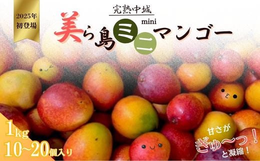 沖縄県産 ミニマンゴー詰め合わせ 完熟沖縄ミニマンゴーご家庭用約1kg（10～20個入）2025年発送