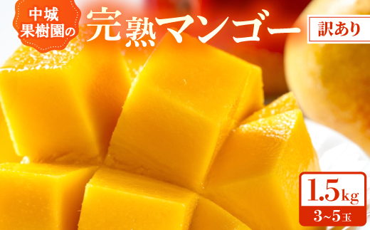 ＜2026年7月から順次発送・白箱＞中城果樹園の完熟アップルマンゴー 訳あり1.5kg(3～5玉)【1673136】