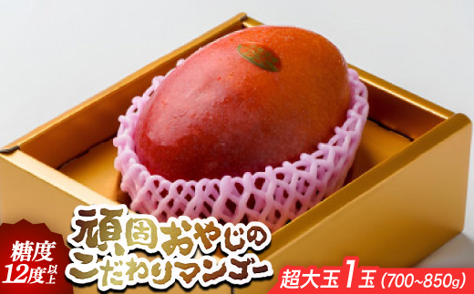 ＜2026年発送・糖度12度以上保証＞頑固おやじのこだわりマンゴー超大玉1玉(700g～850g)【1675680】