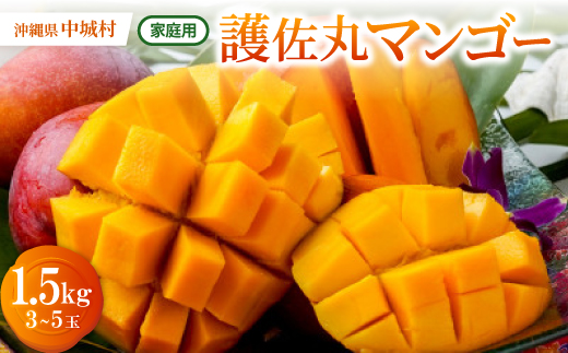 ＜2026年6月下旬から順次発送・家庭用＞護佐丸マンゴー1.5kg(3～5玉)【1676051】