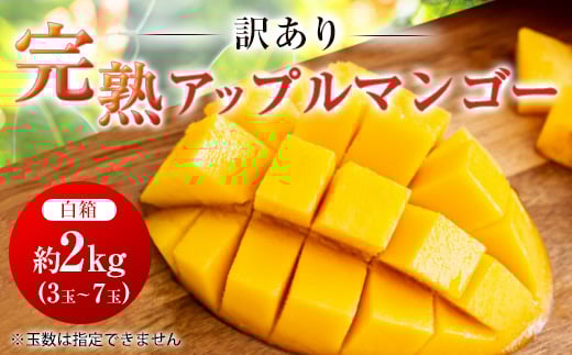 <2026年6月中旬から順次発送・訳あり>完熟アップルマンゴー約2kg(3玉~7玉)【1390903】