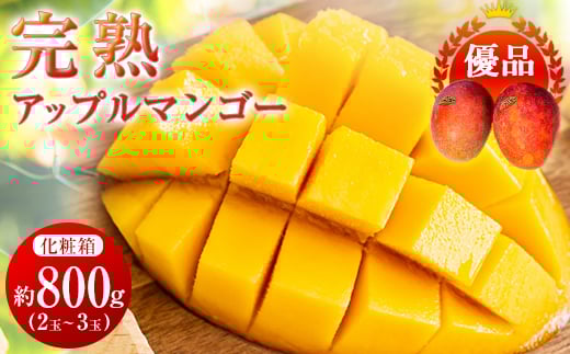 <2026年6月中旬から順次発送・優品>完熟アップルマンゴー約800g(2玉~3玉)【1390897】