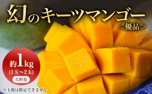 <2026年8月から順次発送・贈答用>JAおきなわ厳選!幻のキーツマンゴー約1kg(1~2玉)【1390923】