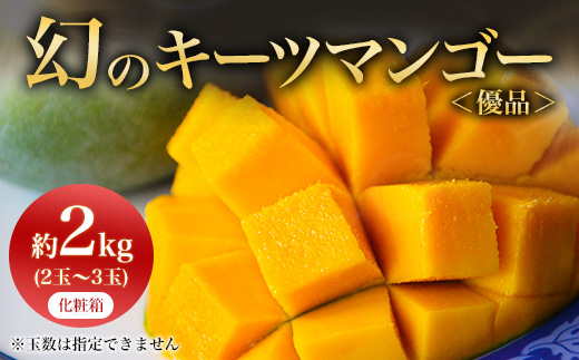 <2026年8月から順次発送・贈答用>JAおきなわ厳選!幻のキーツマンゴー約2kg(2~3玉)【1390927】