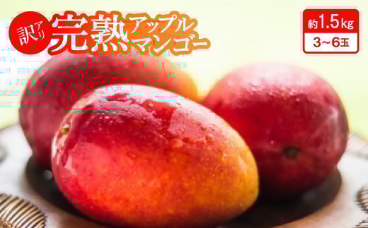 <2026年6月下旬から順次発送・訳あり>完熟アップルマンゴー約1.5kg(3玉~6玉)【1546407】