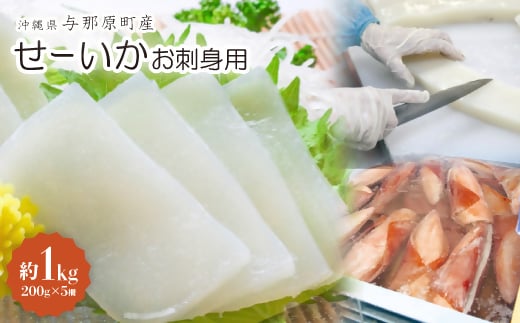 せーいか お刺身用 約1kg(200g×5柵)_いか 刺身 イカ 大容量 真空パック 小分け いか刺身 急速 冷凍 直送 海産物 沖縄 グルメ 海産物 産地直送 冷凍保存 半年 長期保存 不揃い 1キロ 1kg アカイカ メオトイカ イカ刺身 沖縄県 与那原町【1549415】