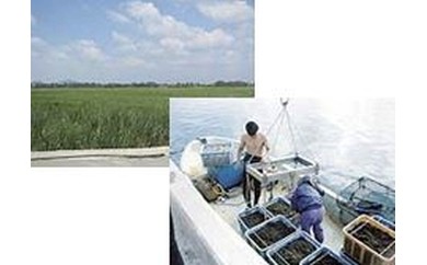 4．産業振興、生活環境整備及び定住促進に関する事業