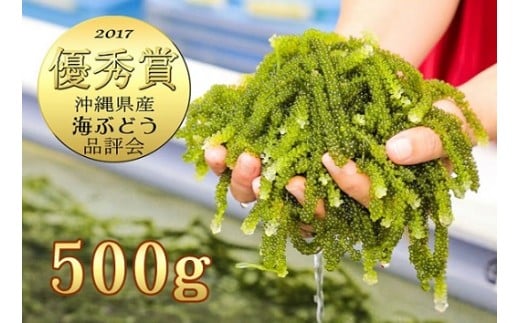 伊是名島育ちの海ぶどう(500g)