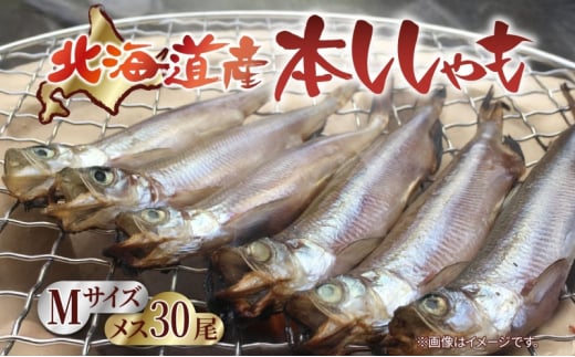 北海道産 阿部水産 ししゃも M 30尾セット 本ししゃも 雌 メス 魚卵 卵 たまご タマゴ子持ち 北海道土産 季節限定 ほくほく 子魚 無添加 クール便 冷凍 送料無料 北海道 日高町