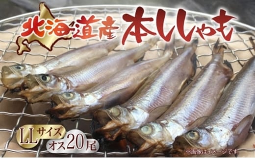 北海道ししゃも オス LLサイズ 20尾セット