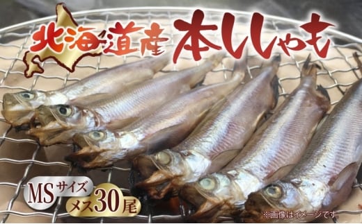 北海道産 阿部水産 ししゃも メス MS 30尾セット 本ししゃも 雌 メス たまご 卵 北海道土産 季節限定 ほくほく 子魚 無添加 クール便 冷凍 送料無料 北海道 日高町