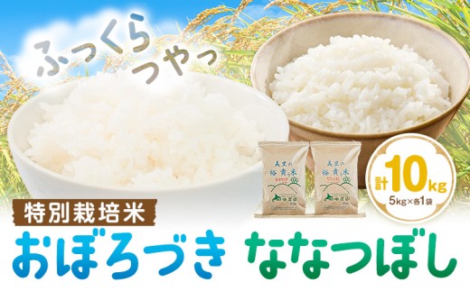 令和7年産 特別栽培米 おぼろづき＆ななつぼし 各5kg 計10kg 田中農園《30日以内出荷予定(土日祝除く)》北海道 日高町 食べ比べセット お米 北海道 日高 米 こめ コメ 白米 白飯 ご飯 ごはん 食べ比べ セット ふっくら つややか 豊かな甘み ほどよい粘り 日高町米 おぼろづき ななつぼし
