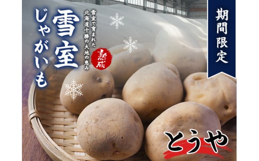 北海道産 熟成じゃがいも とうや 4kg 期間限定 雪室貯蔵 十勝産 ジャガイモ じゃが芋 いも 甘い