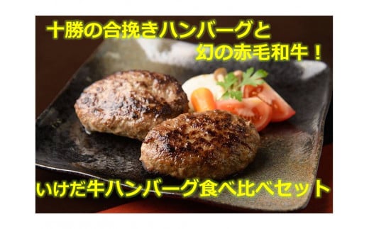 北海道 十勝 合挽きハンバーグといけだ牛100%ハンバーグ 食べ比べ 計4個 冷凍 小分け 池田牛 テレビで紹介 ブランド牛 牛肉 お肉 北海道牛 国産 北海道 幻の赤毛和牛