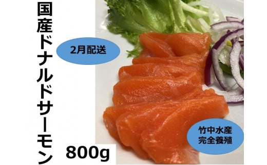 【2月中旬配送】国産 ドナルドサーモン(生食用) 800g 刺身 サーモン 冷凍 小分け 北海道産 刺し身
