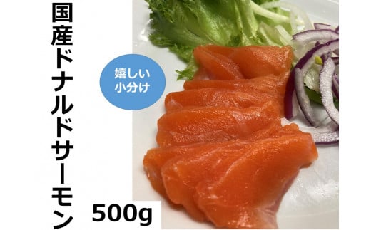 国産 ドナルドサーモン(生食用) 500g 刺身 サーモン 冷凍 小分け 4パック前後 北海道産 刺し身