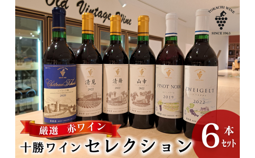 【厳選赤ワイン】十勝ワイン6本セレクション 北海道池田町 赤ワイン 本格派  十勝ワイン ビンテージ 赤ワインセット