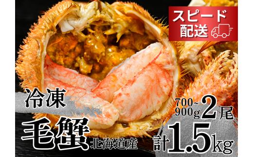 【通年】活ゆで毛蟹（特大）2尾で計1500g【冷凍】国産 北海道産 かに 毛蟹 毛ガニ 毛がに LL
