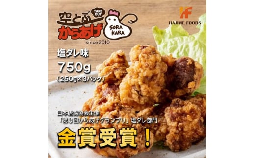 空とぶからあげ 750g(250g×3パック)オカンの特性塩ダレ味 電子レンジで温めるだけ 冷凍便【1257667】