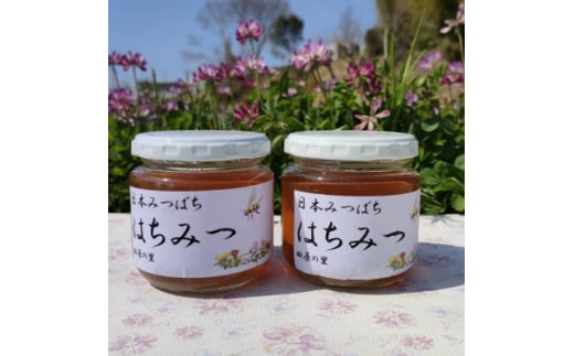 日本みつばちが集めた貴重なはちみつ(百花蜜)をお届けします。【1151556】