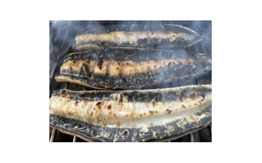<国産うなぎ>大サイズ140g -170g 三河一色産 3尾 炭火蒲焼き(タレ付き)【1659356】