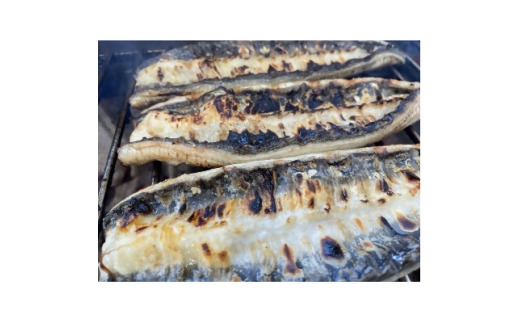 <国産うなぎ>大サイズ140g -170g 三河一色産 10尾 炭火蒲焼き(タレ付き)【1659364】